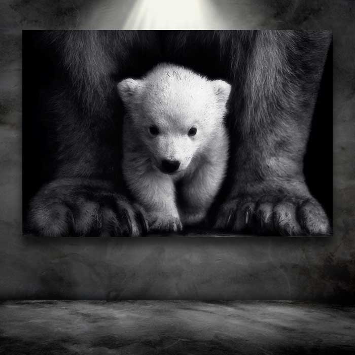Baby Bear