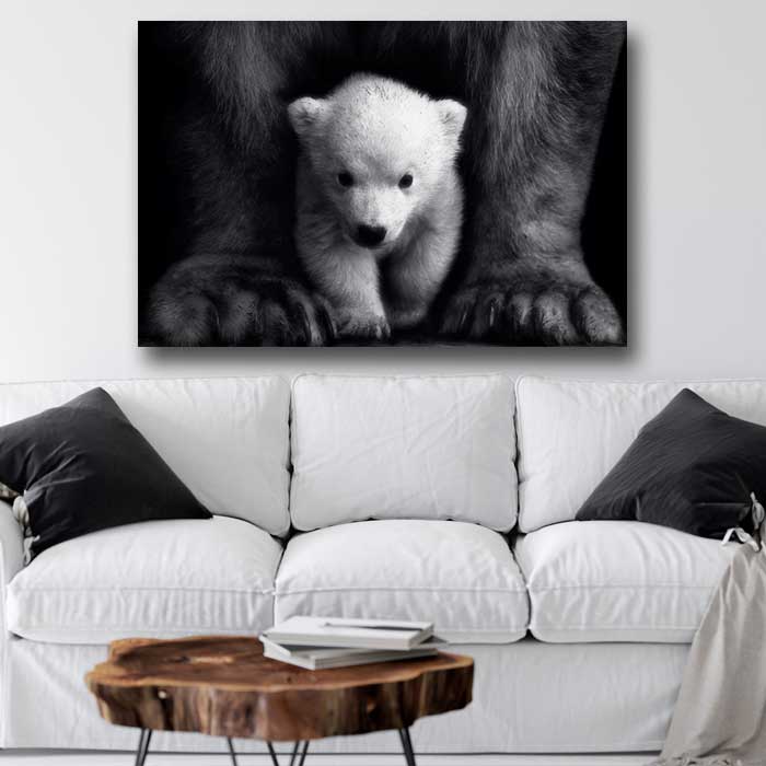 Baby Bear