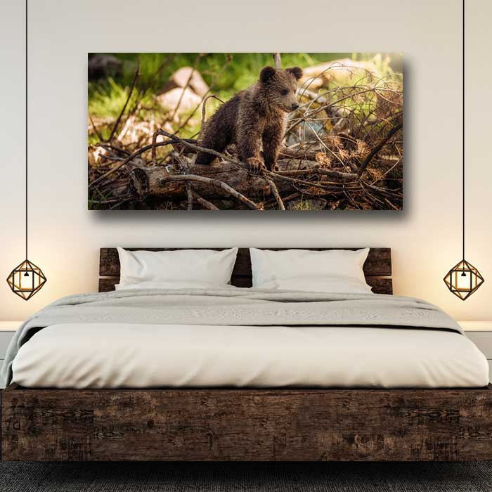 Bear Cub Standing on Tree