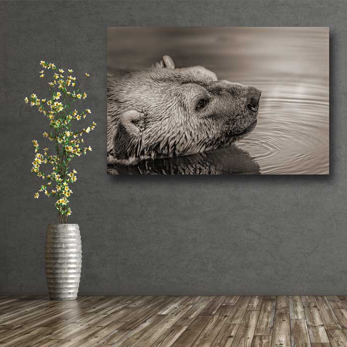 Bear Face in Water