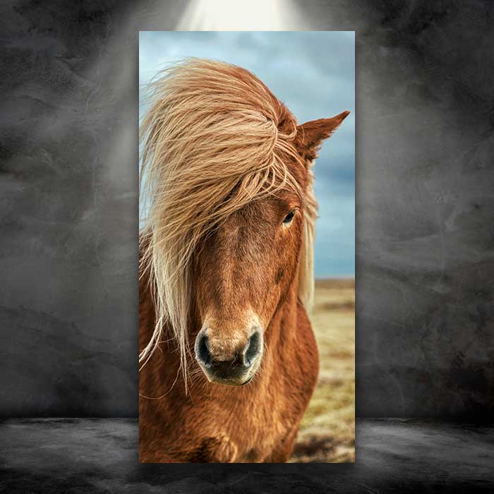 Beautiful Golden Horse