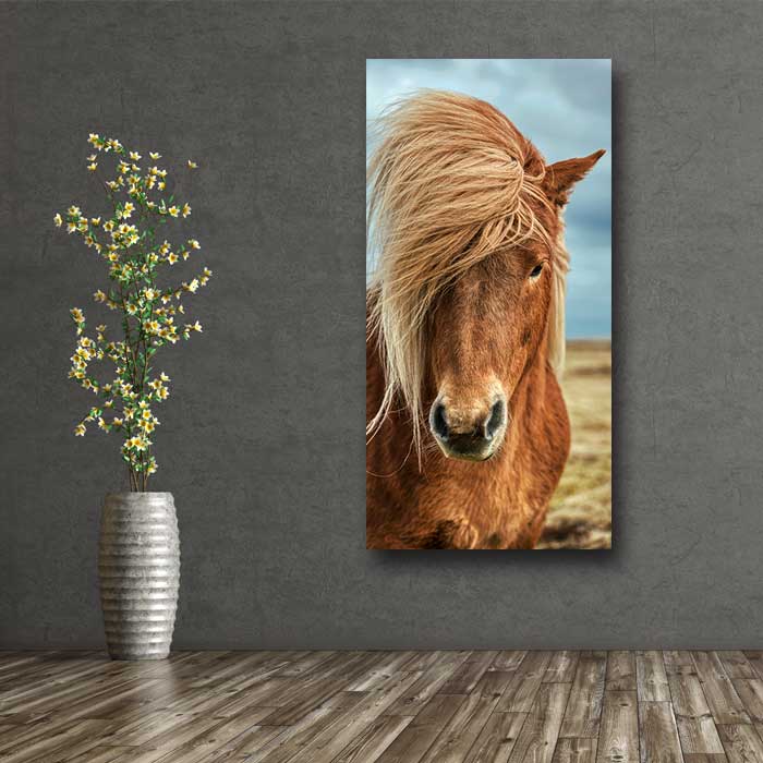 Beautiful Golden Horse