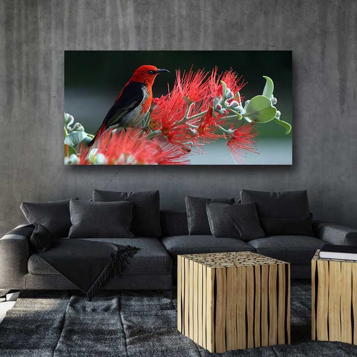 Beautiful Red Headed Bird on Flower