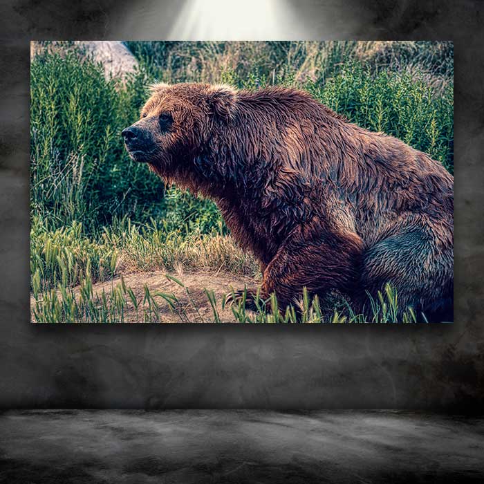 Big Old Kodiak