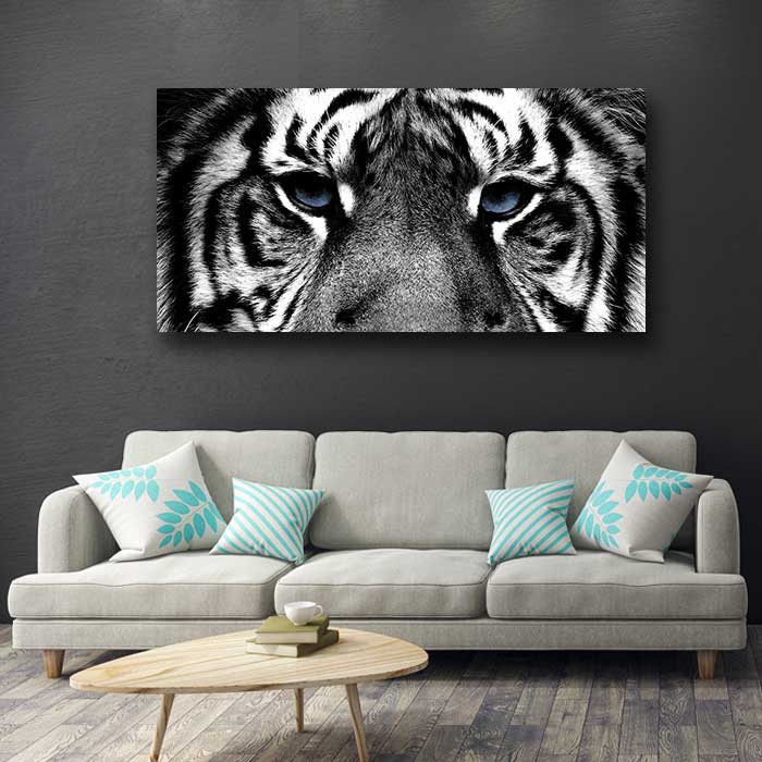 Blue Eyed Black and White Tiger Eyes