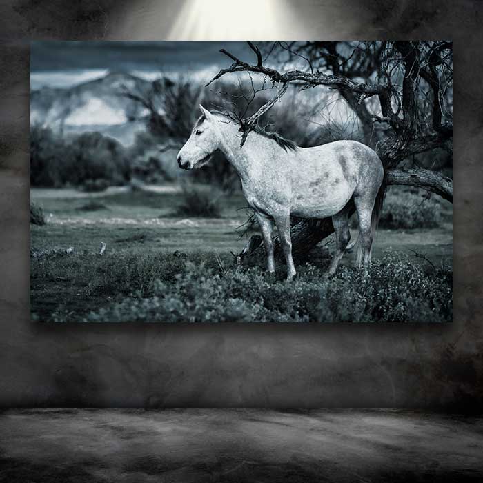 Blue Hue Horse