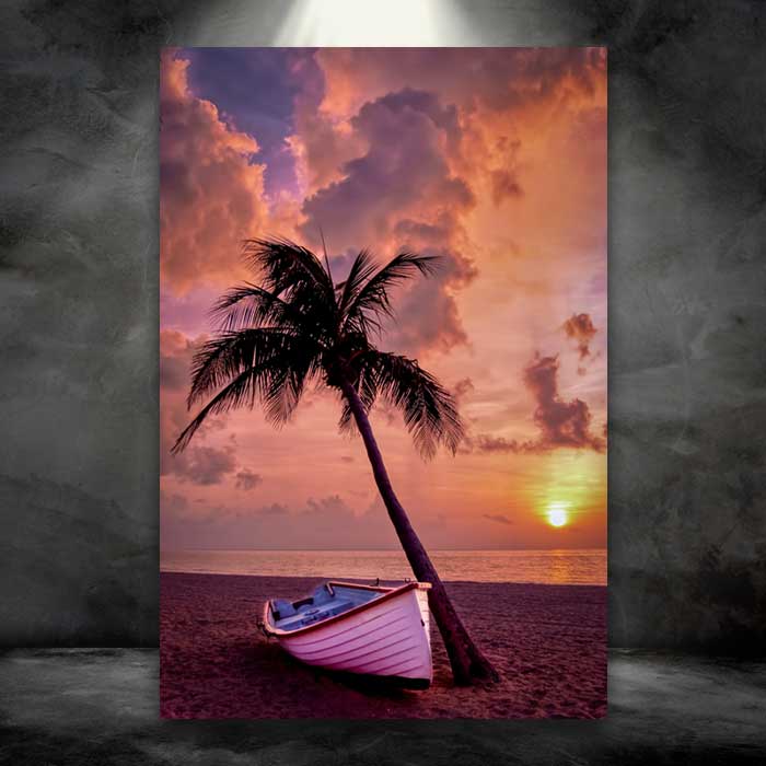 Boat Against a Palm Tree