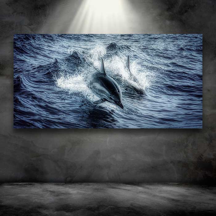 Dolphins in a Wave