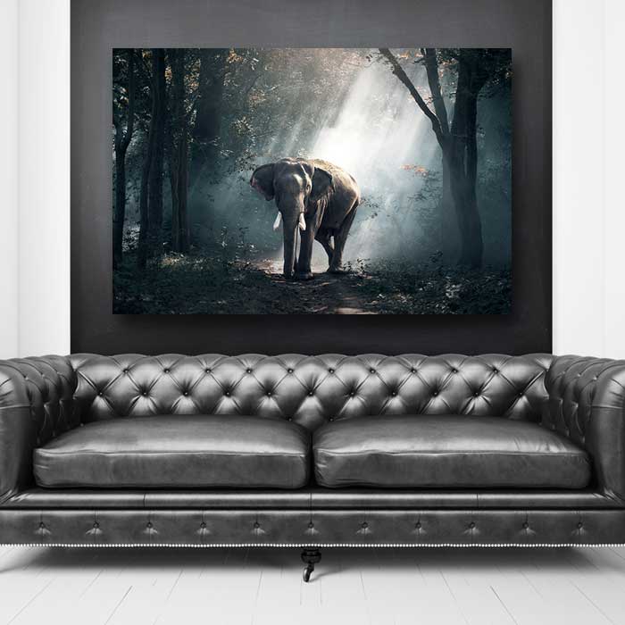 Elephant in African Jungle