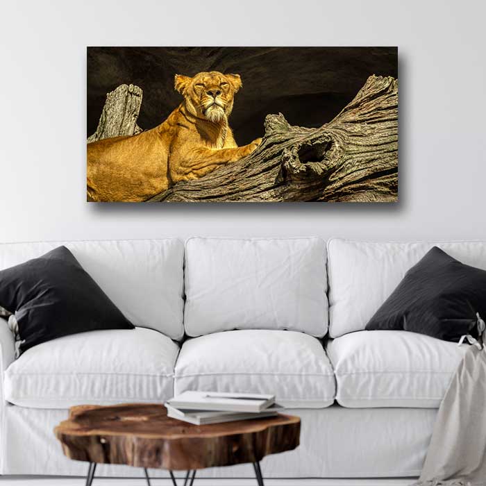 Female Lion on a Log