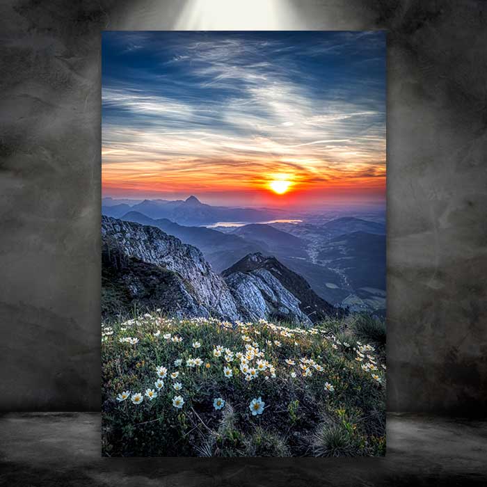 Flowers Mountains and Sunset