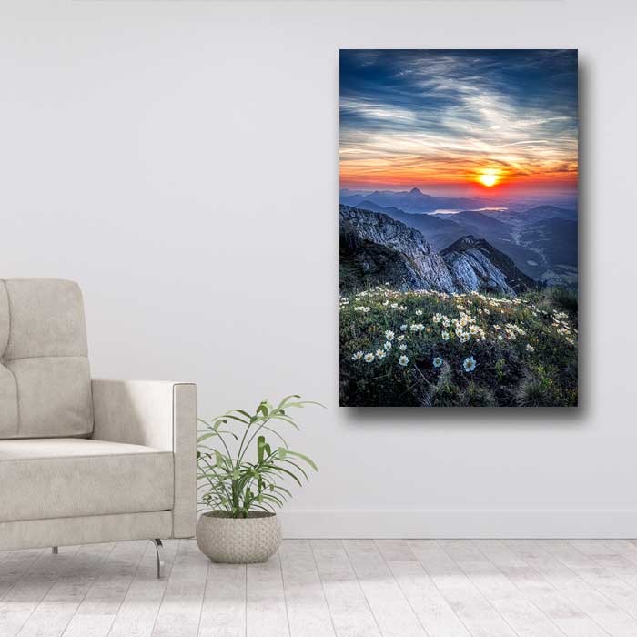 Flowers Mountains and Sunset