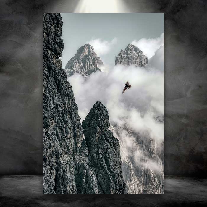 High Soaring Bird