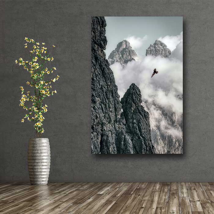 High Soaring Bird