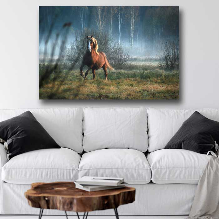 Horse Dream