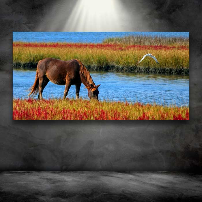 Horse Drinking in Paradise