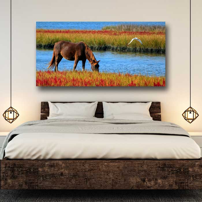 Horse Drinking in Paradise