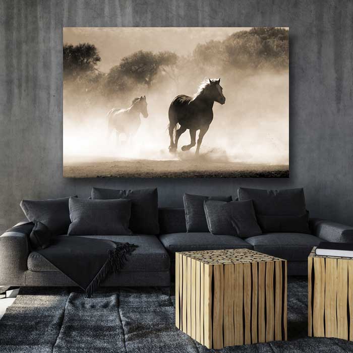Horses Running in Dust
