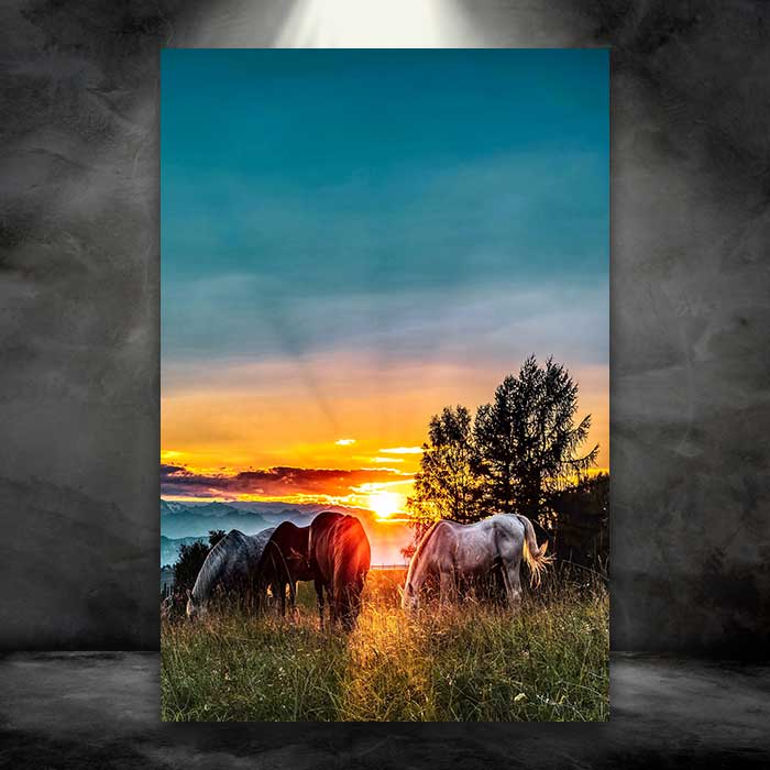 Horses at Sunset