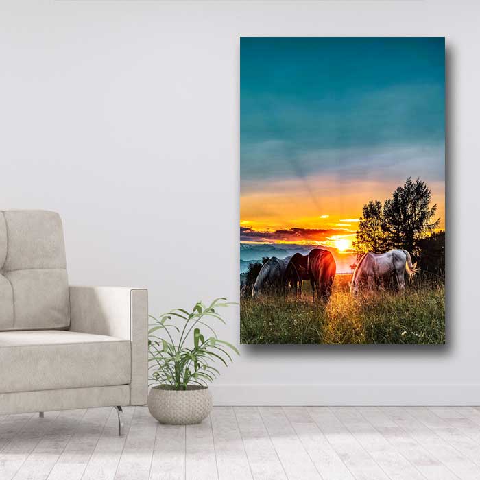 Horses at Sunset