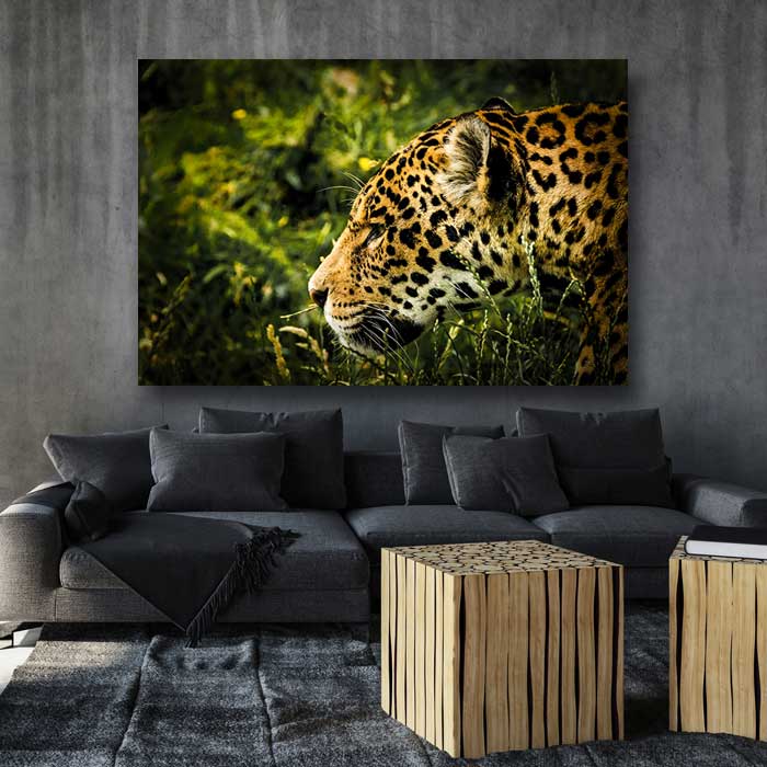 Jaguar