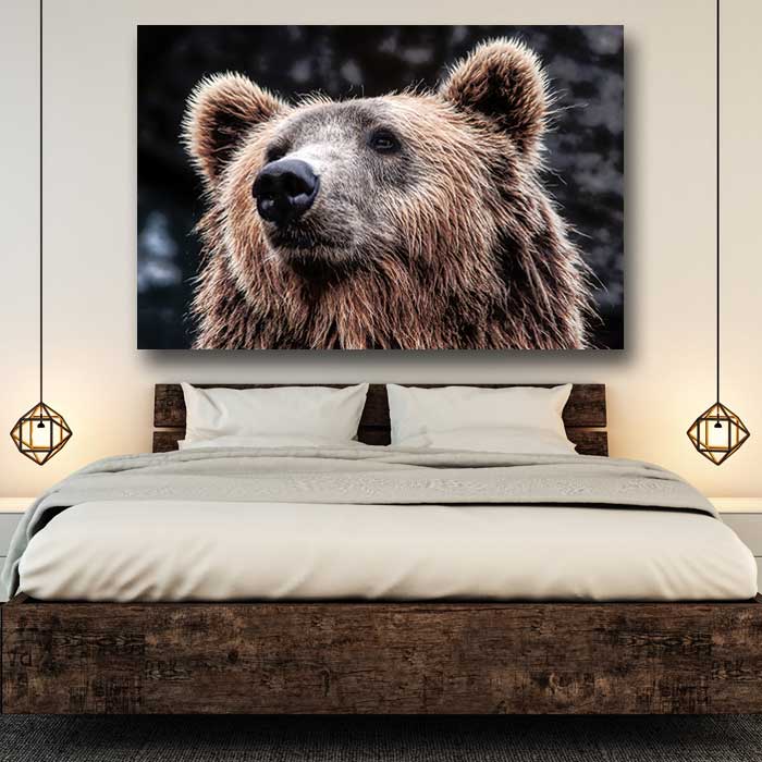 Kodiak Bear Face