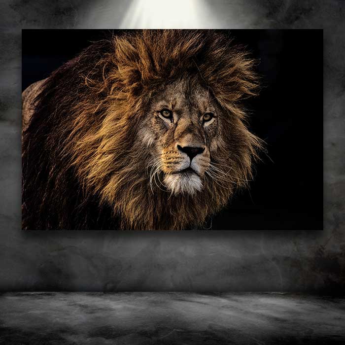Lion Head
