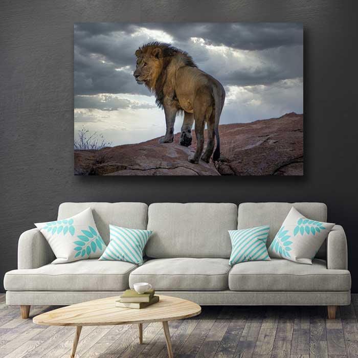 Lion on a Rock