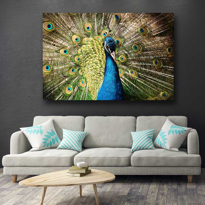 Peacock