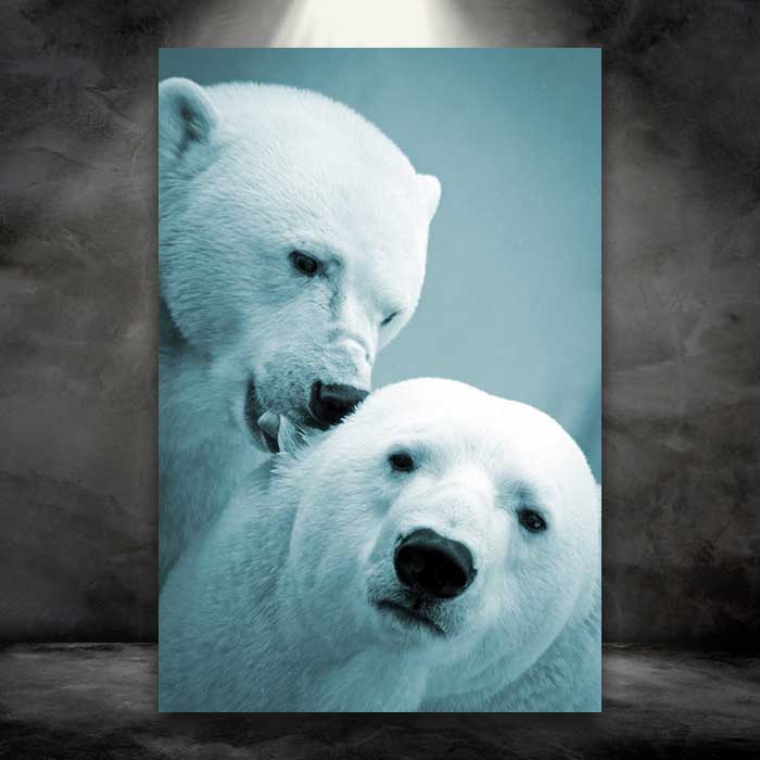 Polar Bear Couple