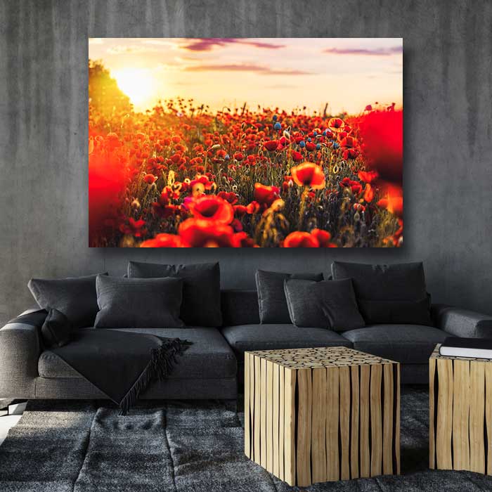 Pretty Red Flowers and Sunrise