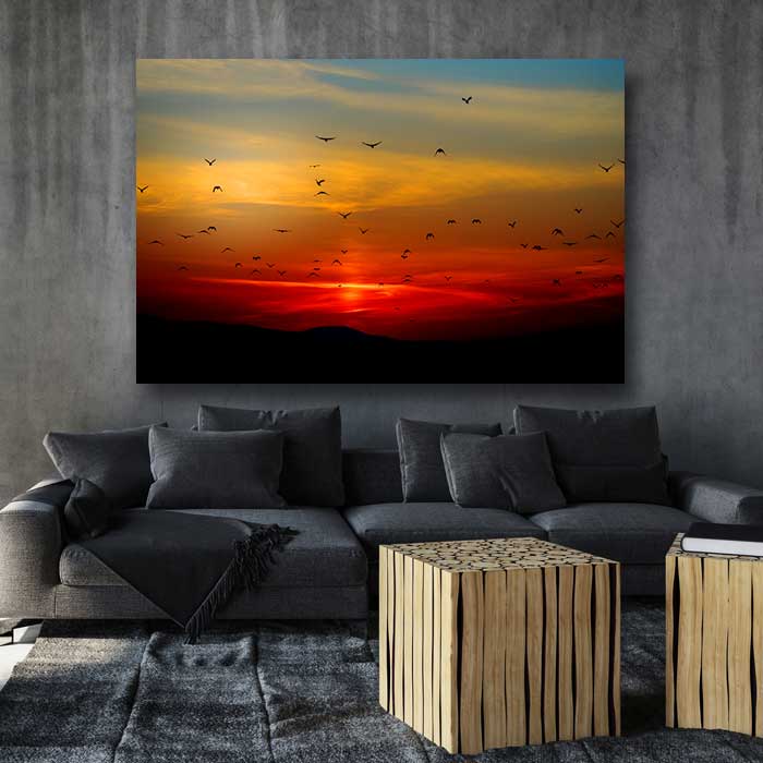 Silhouette of Birds at Sunset