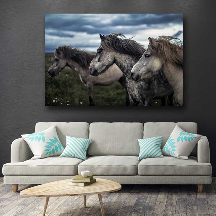 Three Wild Horses