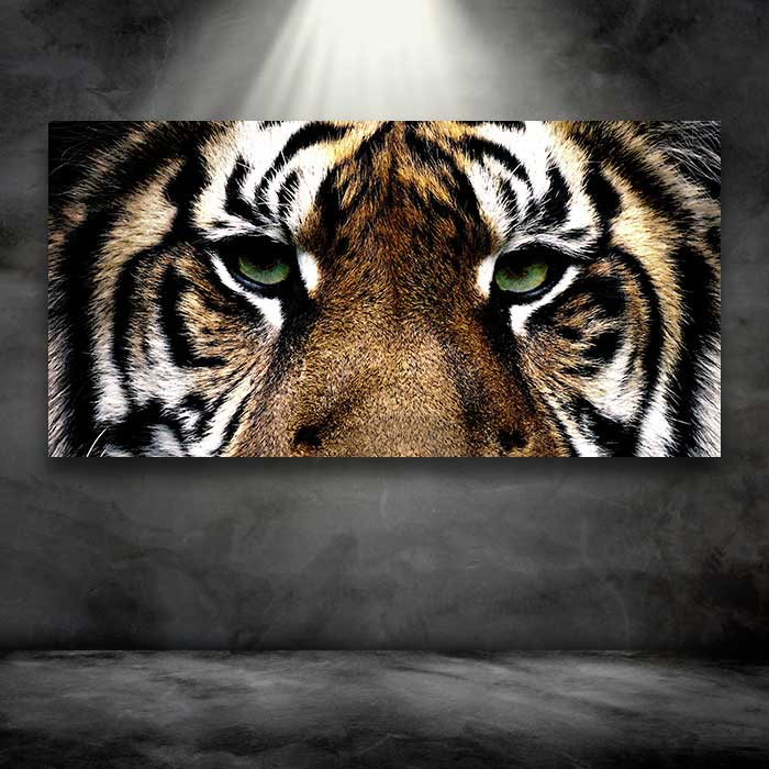 Tiger Eyes