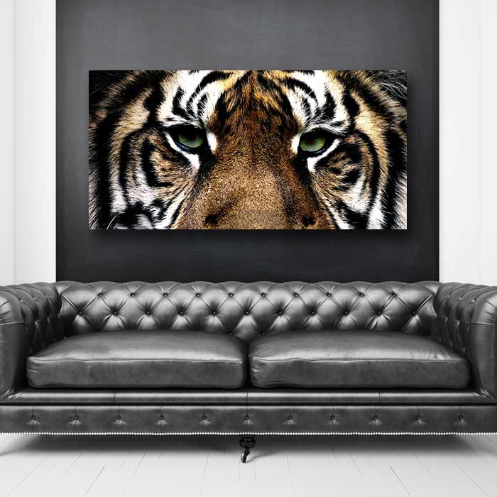 Tiger Eyes