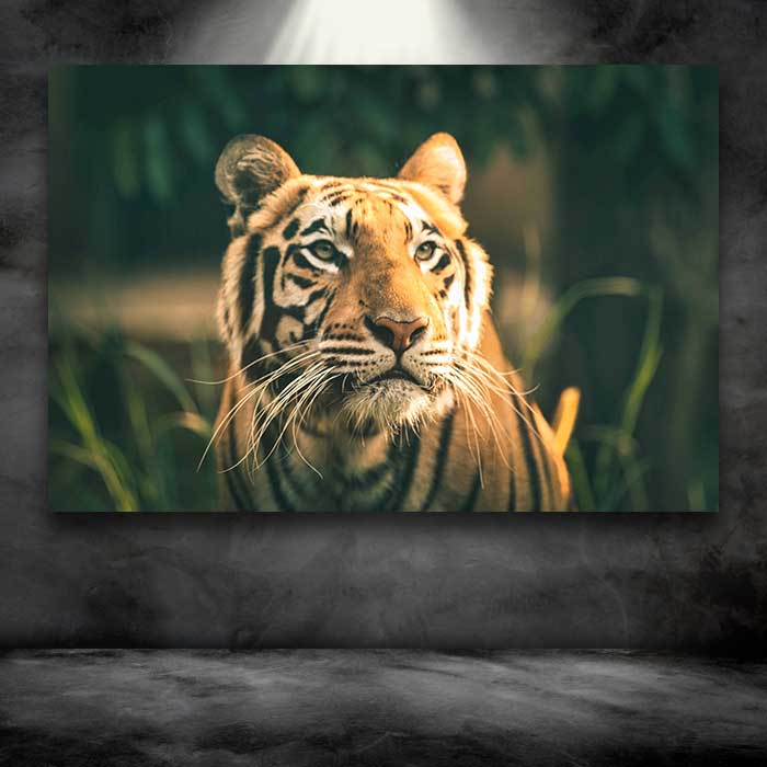 Tiger in Weeds