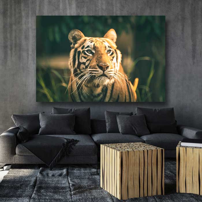 Tiger in Weeds