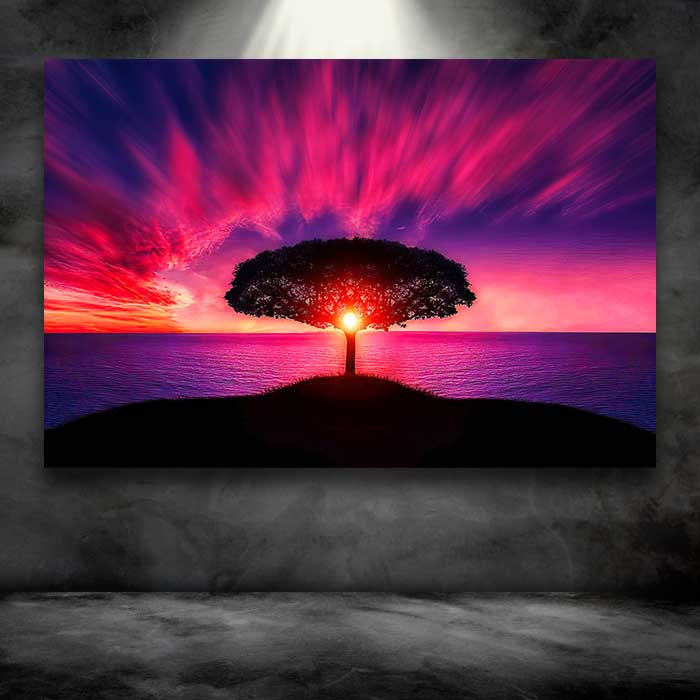 Tree at the Center of Sunrise