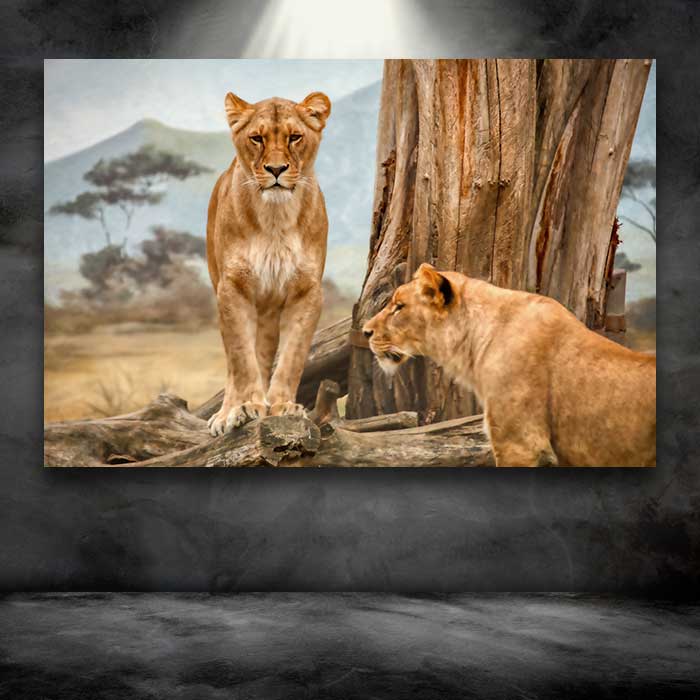 Two Female Lions