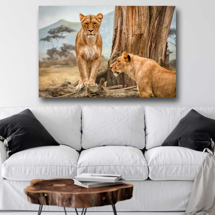 Two Female Lions