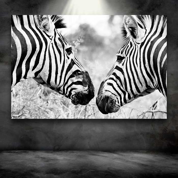 Two Zebra Faces