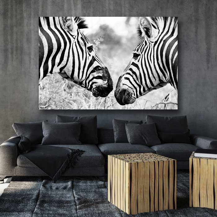 Two Zebra Faces