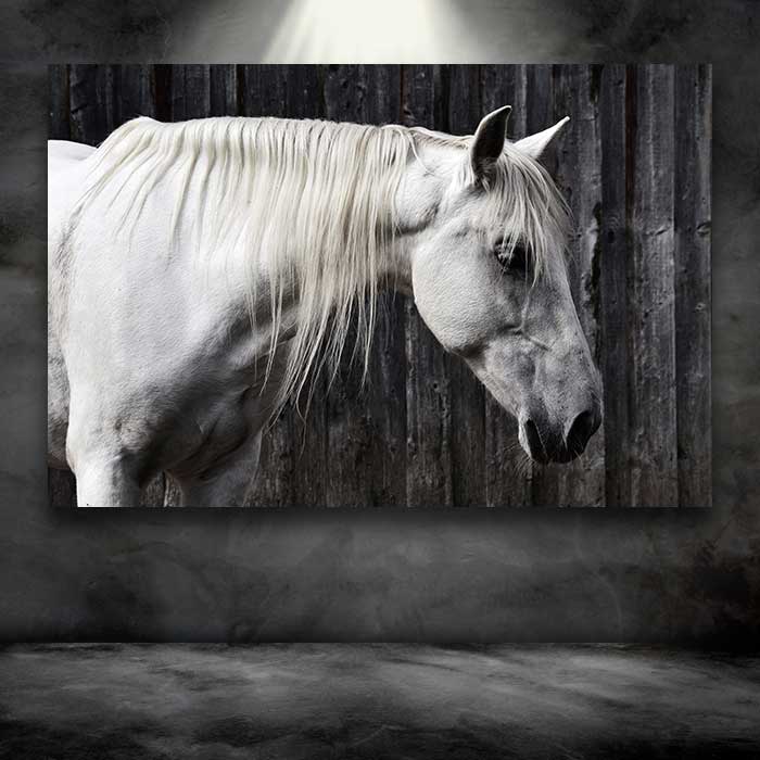 White Horse