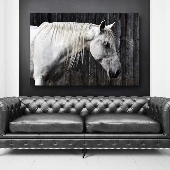 White Horse