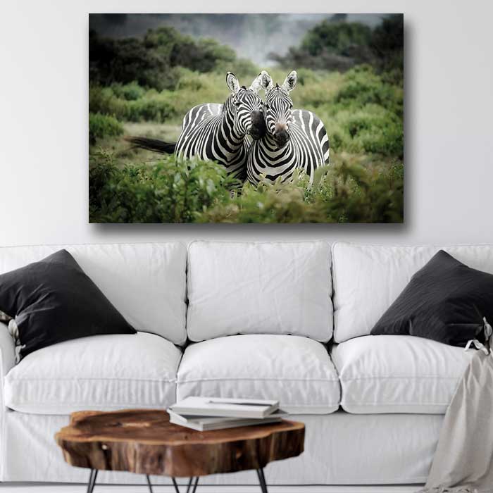 Zebras in Africa