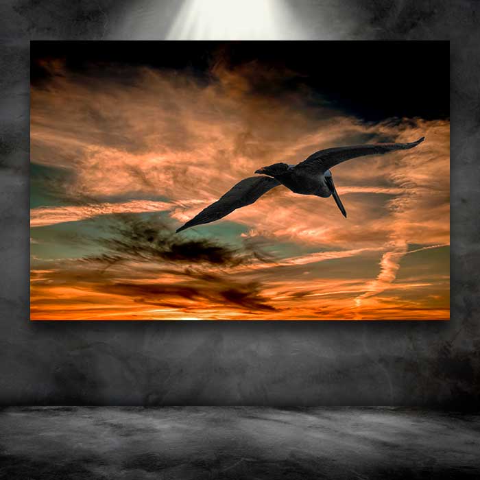 Pelican Soaring into Sunset