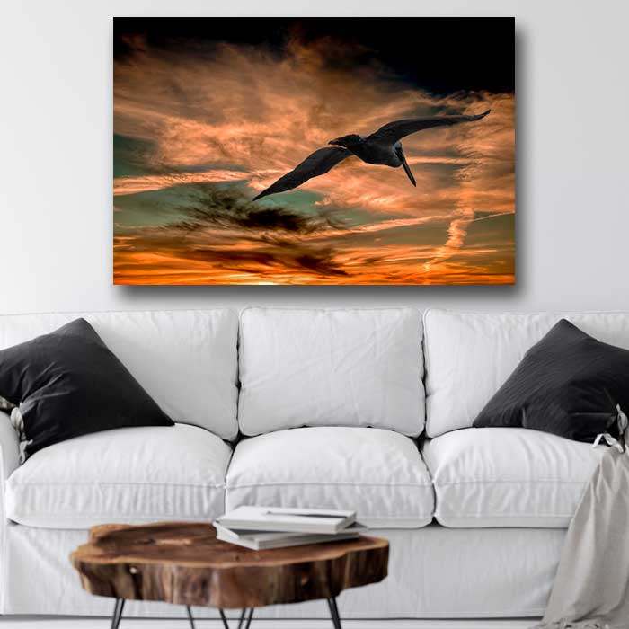 Pelican Soaring into Sunset