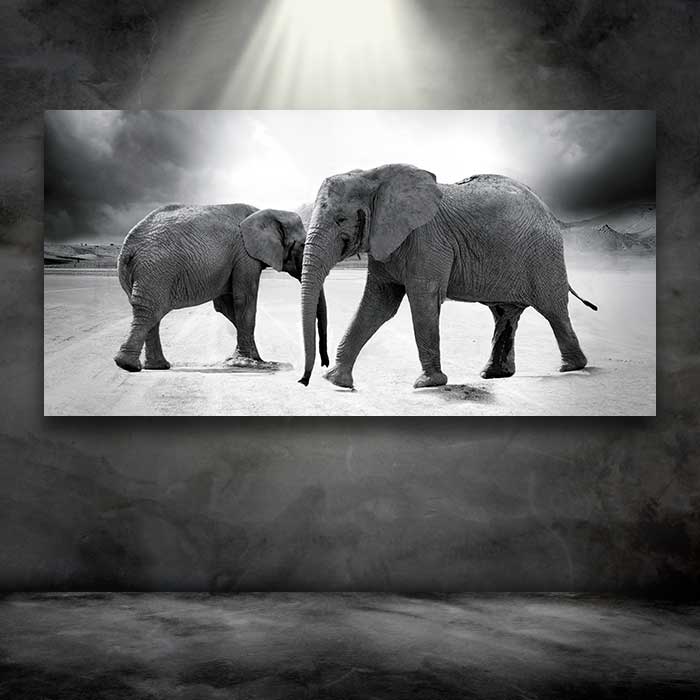 Two Elephants
