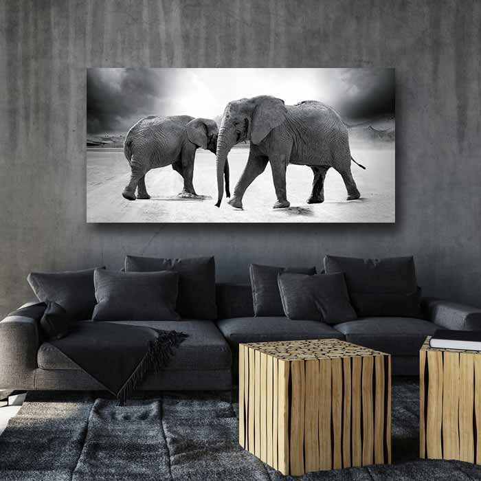 Two Elephants