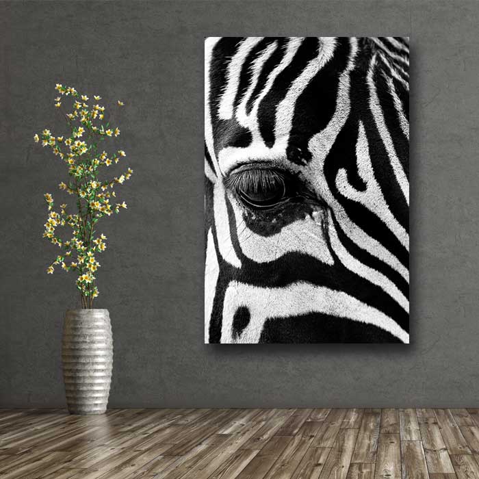Zebra Face Up Close